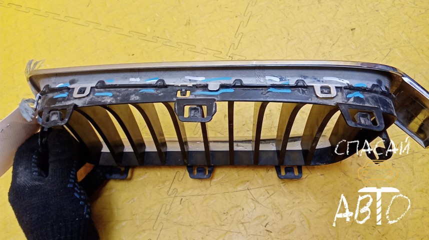 BMW 3-серия F30/F31 Решетка радиатора - OEM 51137255412