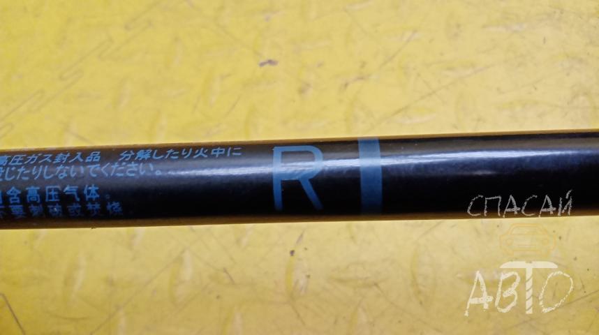 Lexus GS 350 Амортизатор капота