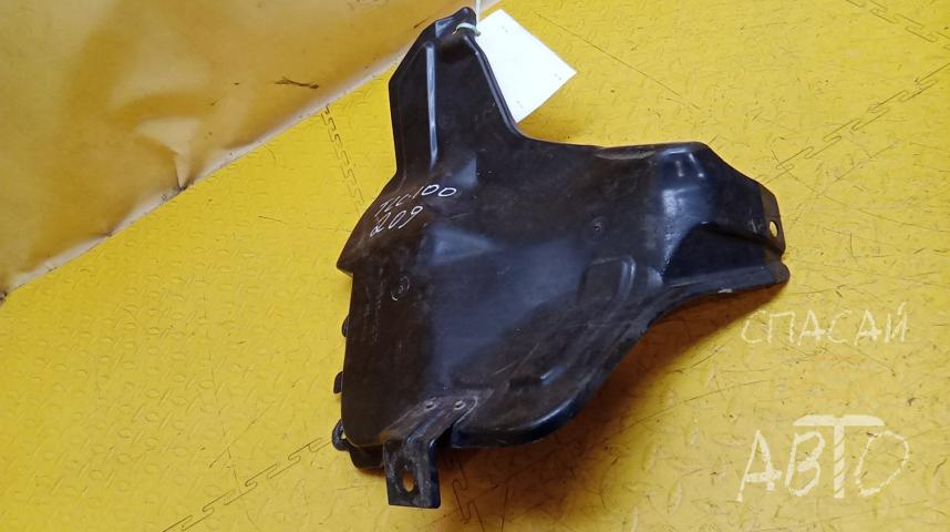 Toyota Land Cruiser (100) Защита