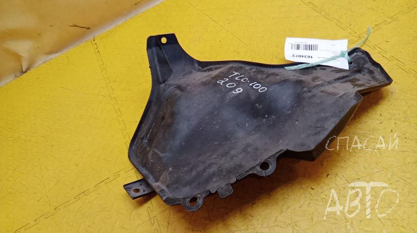 Toyota Land Cruiser (100) Защита