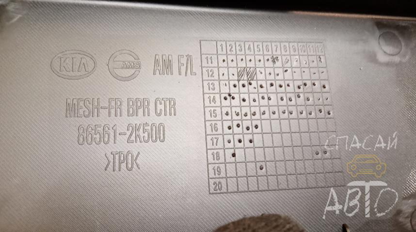 KIA Soul I Решетка в бампер