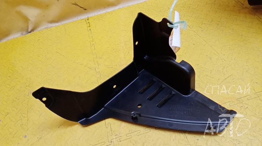 VAZ LADA Granta Пыльник (кузов наружные)