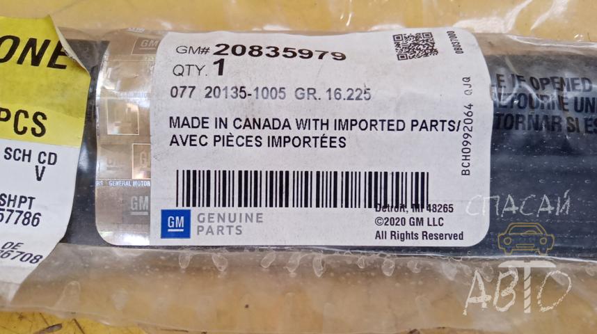 Cadillac Escalade III Уплотнитель (внутри)