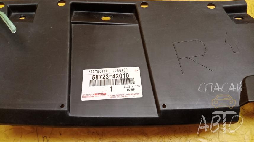 Toyota RAV 4 (40) Пыльник (кузов наружные)