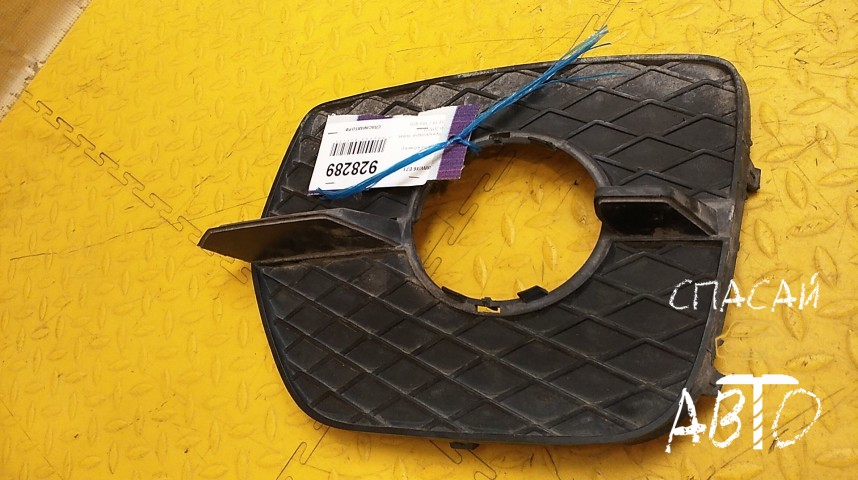 BMW X6 E71 Решетка в бампер - OEM 51117188383