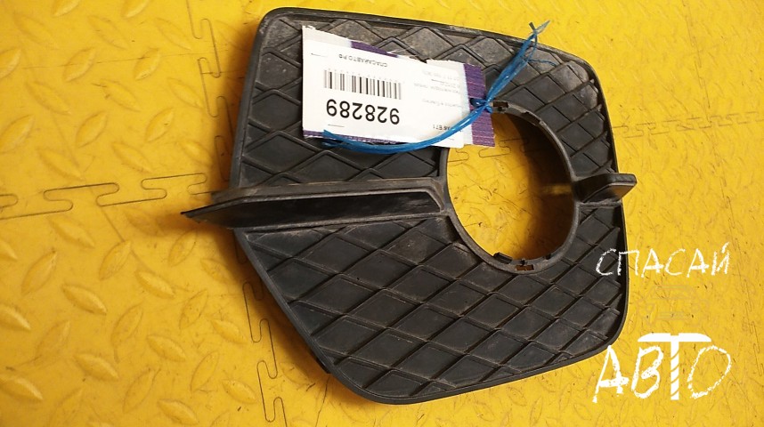 BMW X6 E71 Решетка в бампер - OEM 51117188383