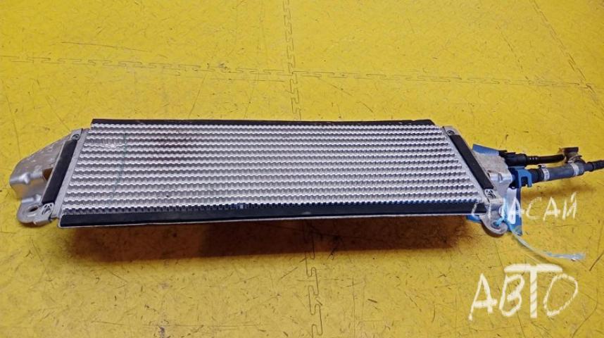 Land Rover Range Rover Velar Радиатор топливный
