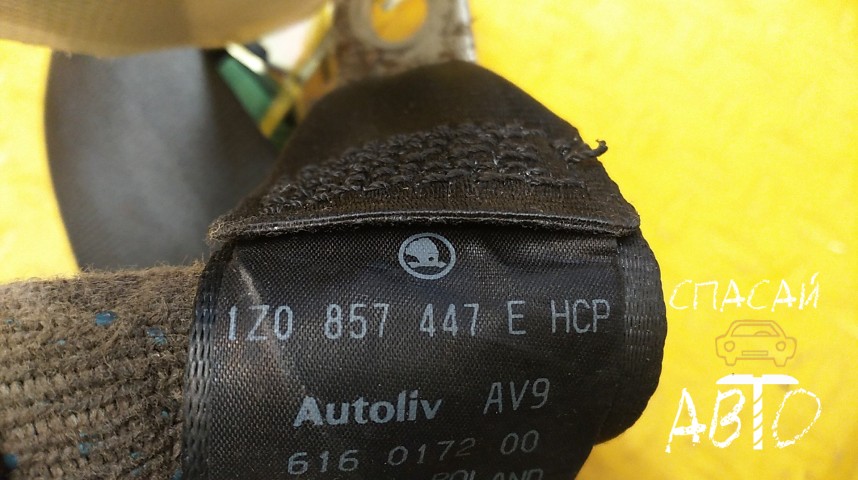 Skoda Octavia (A5 1Z-) Ремень безопасности - OEM 1Z0857447E