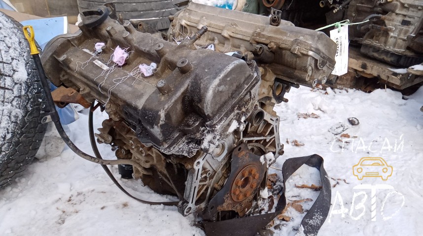 Hyundai Santa Fe (CM) Двигатель  - OEM 161P13EA00