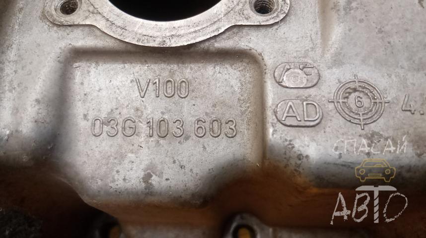 Volkswagen Passat (B6) Поддон масляный двигателя