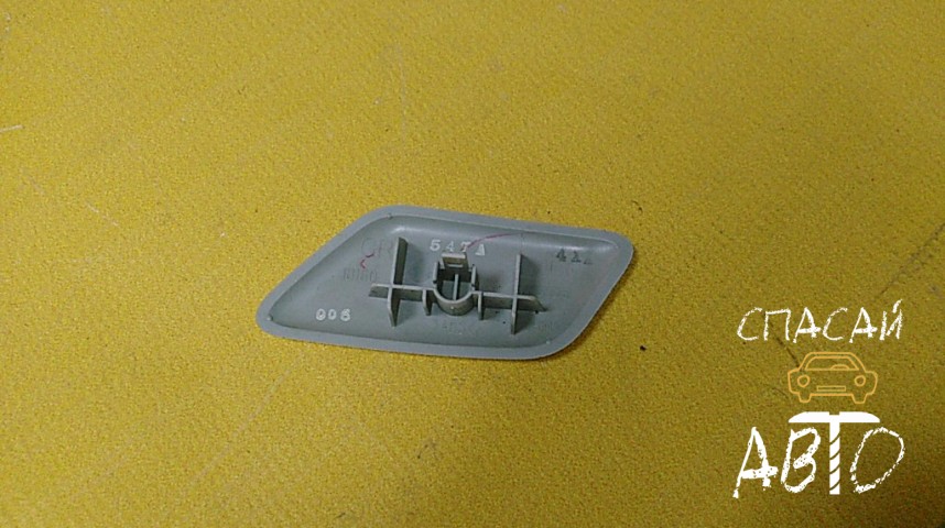 Nissan Patrol VI (Y62) Крышка форсунки омывателя