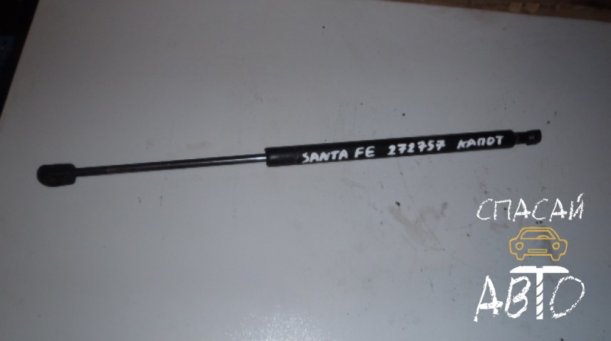 Hyundai Santa Fe (SM)/ Santa Fe Classic Амортизатор капота - OEM 8116126000