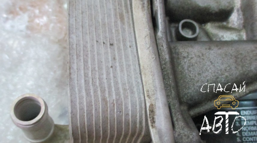 Volkswagen Golf VI Радиатор масляный - OEM 03F117021A