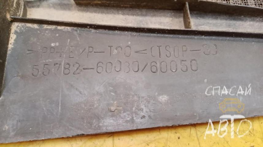 Toyota Land Cruiser (100) Жабо