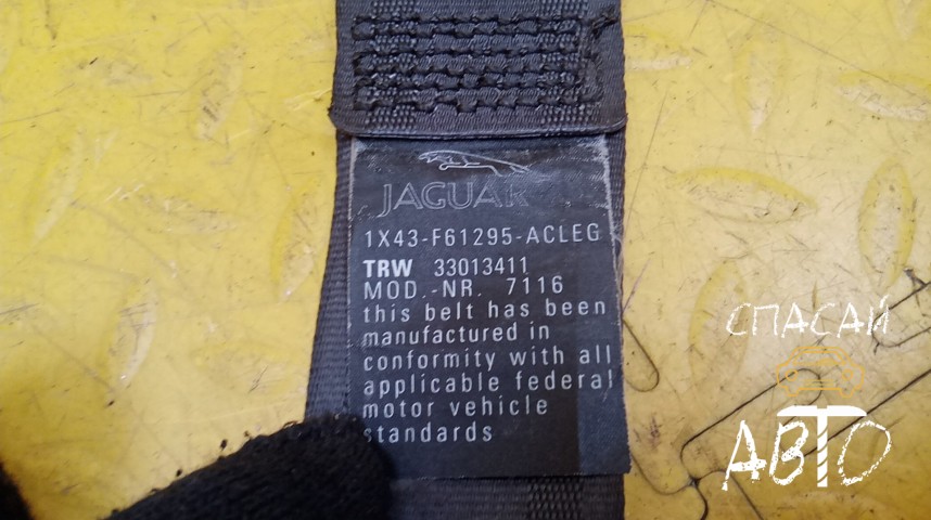 Jaguar X-TYPE Ремень безопасности - OEM 1X43F61295