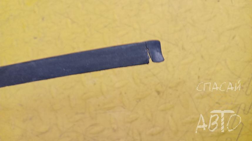 Volkswagen Passat (B5) Молдинг лобового стекла