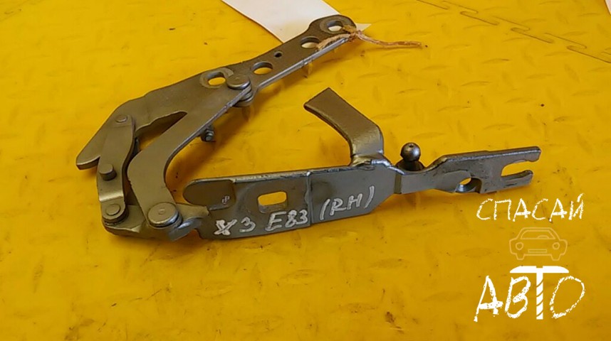 BMW X3 E83 Петля капота - OEM 41613452844