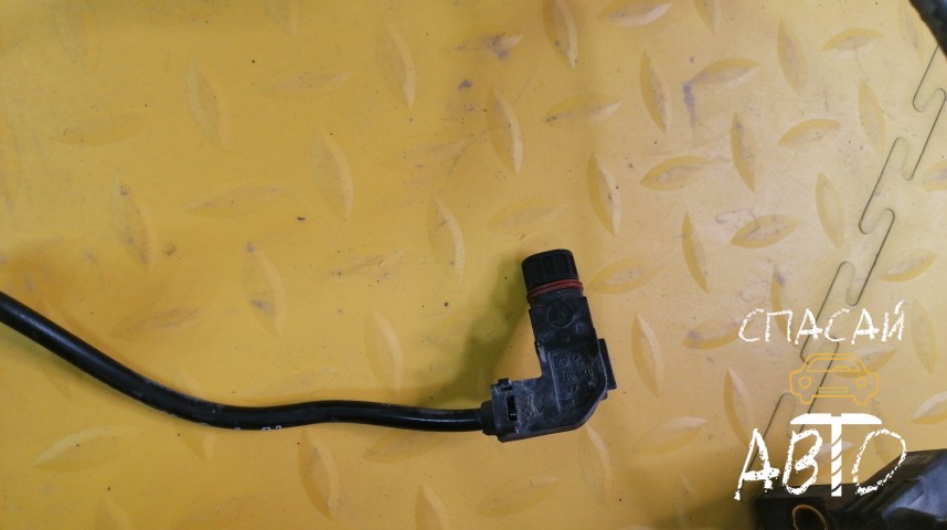 Mercedes-Benz W169  A-klasse Провод - OEM A1695404005