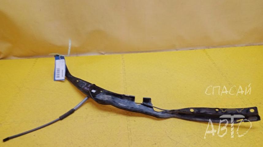Toyota RAV 4 (40) Уплотнитель (внутри)