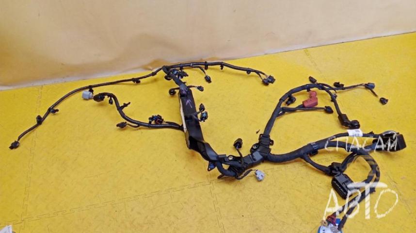 Geely Coolray (SX11) Проводка (коса)