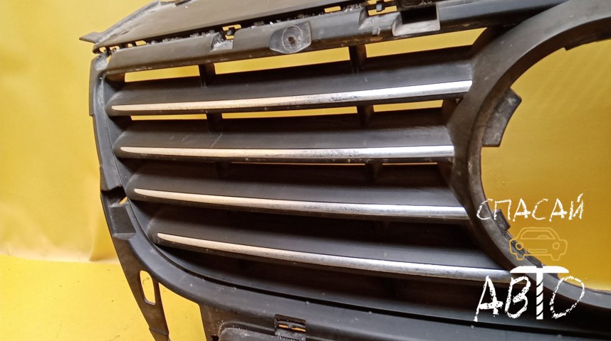 Volkswagen Passat (B6) Решетка радиатора - OEM 3C0853651AH