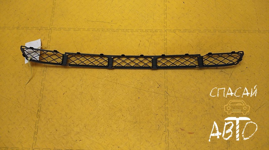 Toyota RAV 4 (20) Решетка в бампер - OEM 5311342020