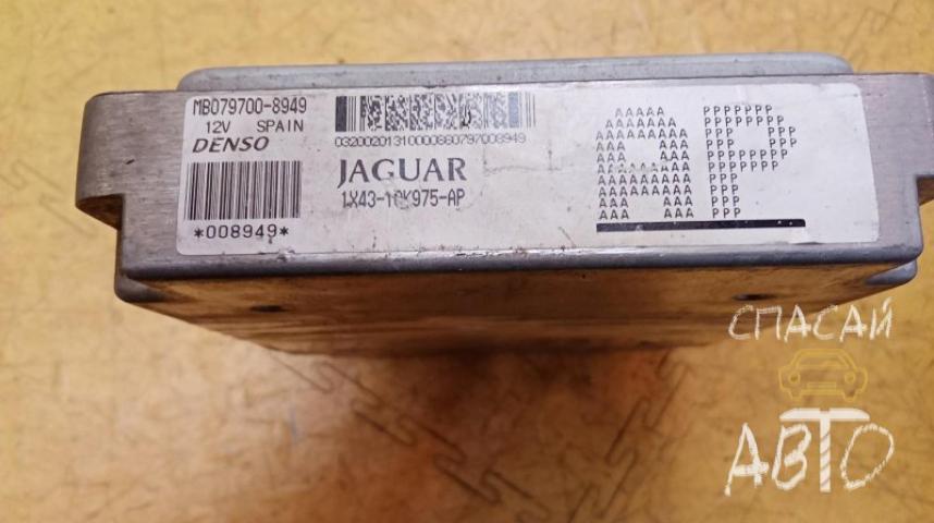 Jaguar X-TYPE Блок управления двигателем