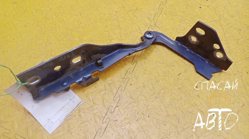 Jaguar X-TYPE Петля капота - OEM 1X4316800