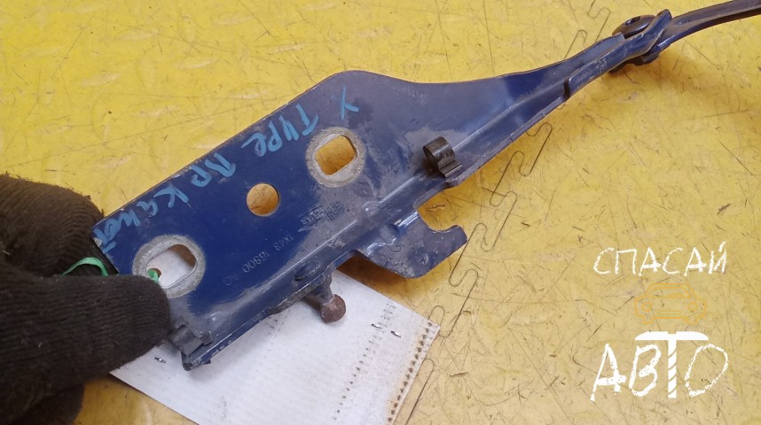 Jaguar X-TYPE Петля капота - OEM 1X4316800