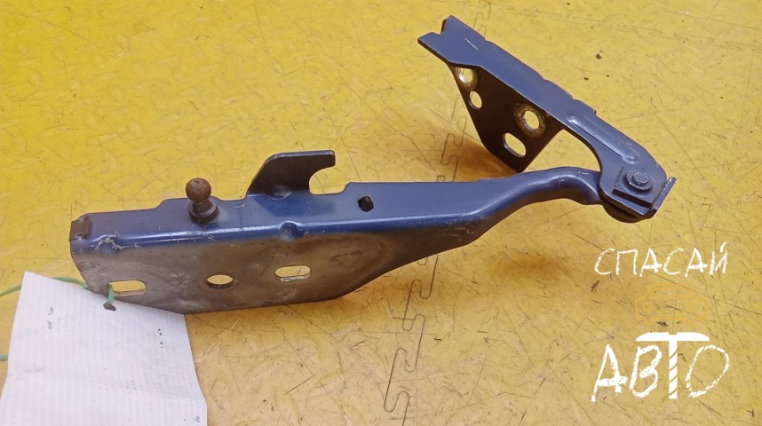 Jaguar X-TYPE Петля капота - OEM 1X4316800