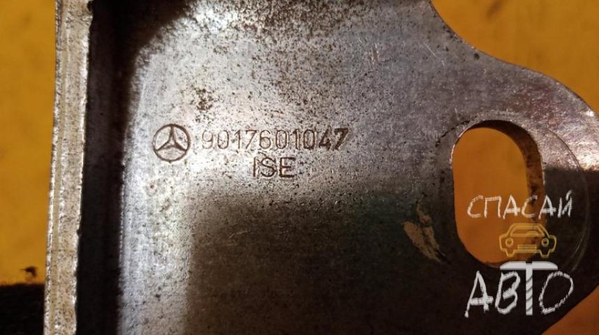 Mercedes-Benz Sprinter (901-905)/Sprinter Classic (909) Петля двери