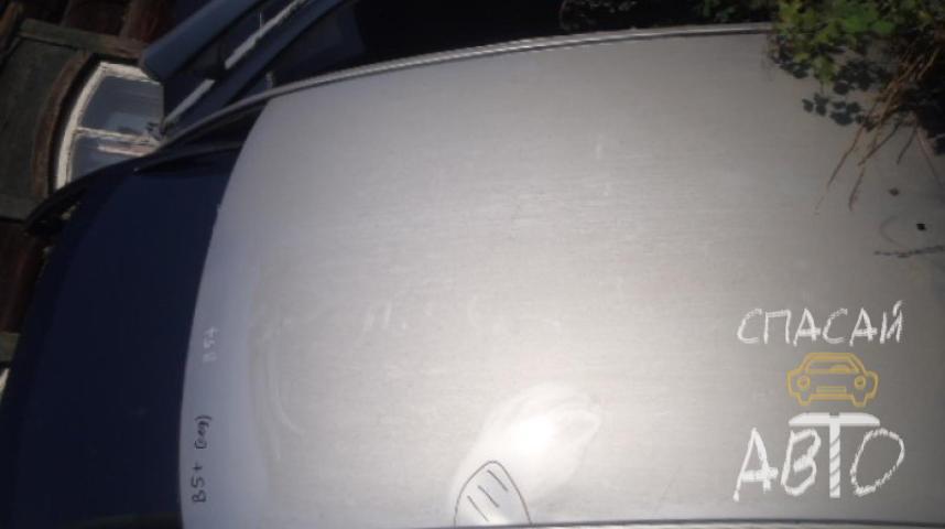 Volkswagen Passat (B5+) Крыша