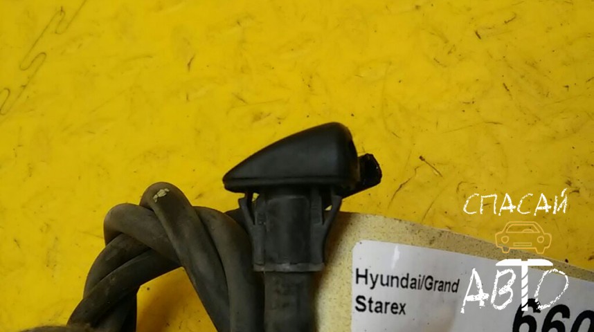 Hyundai Grand Starex Форсунка омывателя лобового стекла - OEM 986404H000