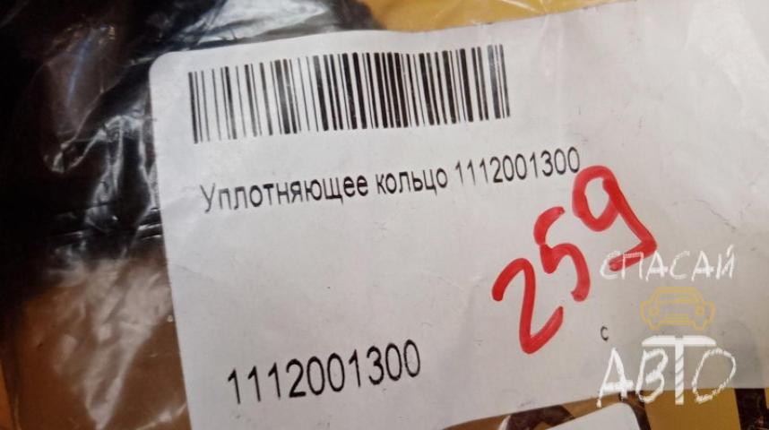 Audi A4 (B5) Прокладка