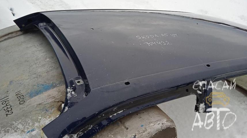 Skoda Octavia (A5 1Z-) Крыша