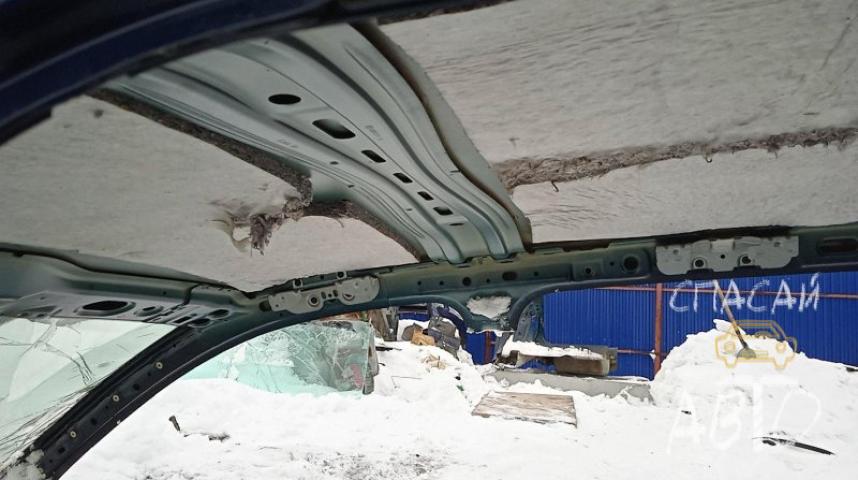 Skoda Octavia (A5 1Z-) Крыша
