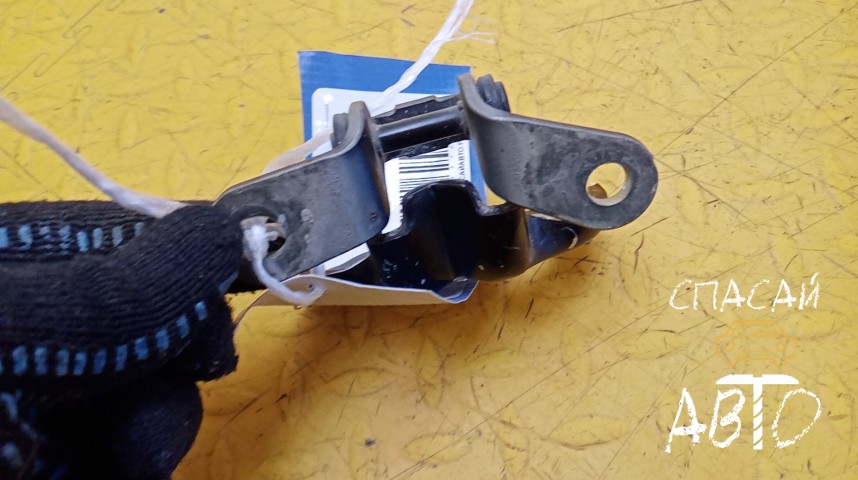 Chevrolet Cobalt Петля двери - OEM 13505400