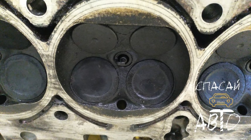 Audi Q7 (4L) Головка блока - OEM 079103063CB