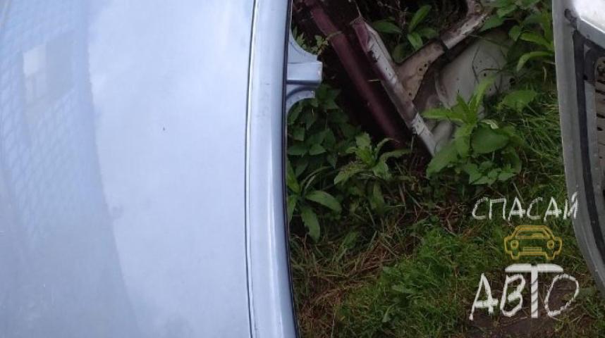 Volkswagen Passat (B5) Крыша