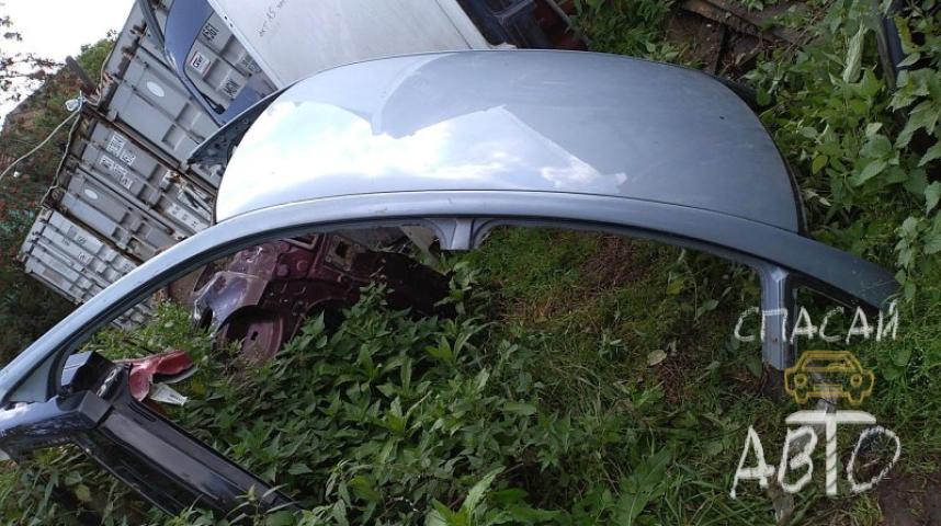 Volkswagen Passat (B5) Крыша