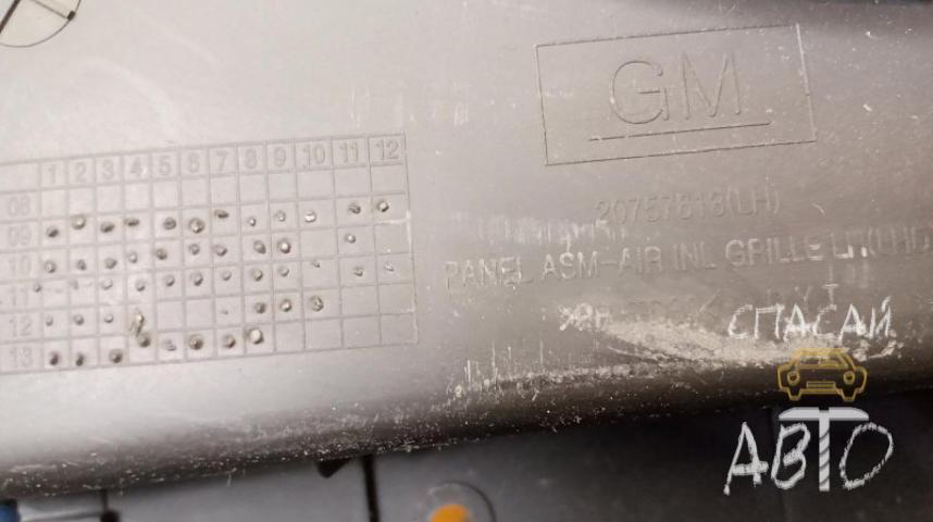 Opel Antara Жабо