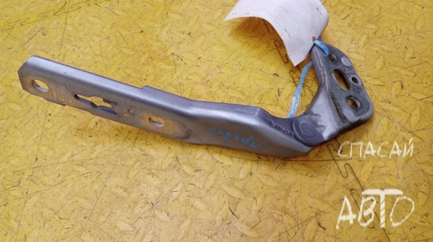 Audi A6 (C4) Петля капота