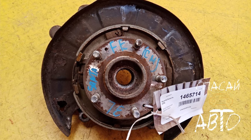 Hyundai Santa Fe (CM) Кулак поворотный задний левый - OEM 527102B000