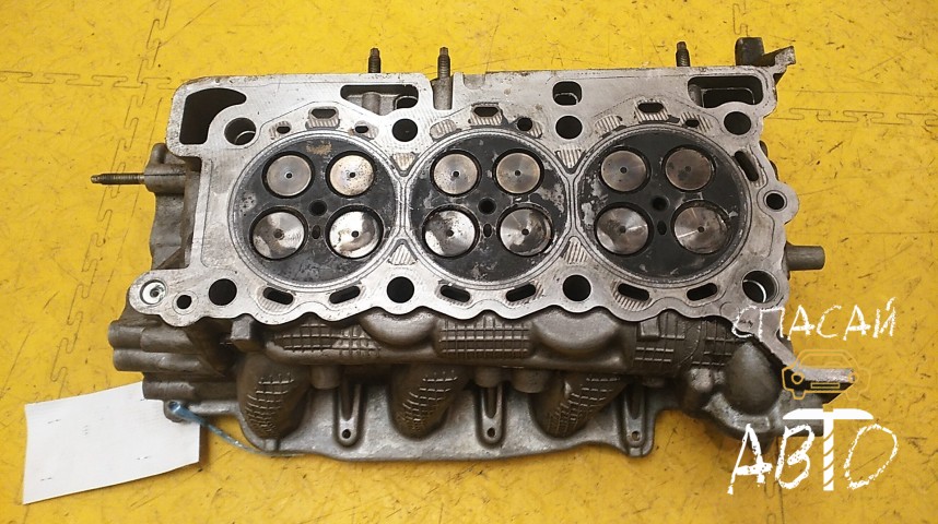 Land Rover Range Rover Sport II Головка блока - OEM LR014249